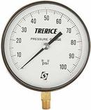 H.O. Trerice 2-1/2 x 1/4 in. Full Face Center Back Mount Logo Pressure Gauge 