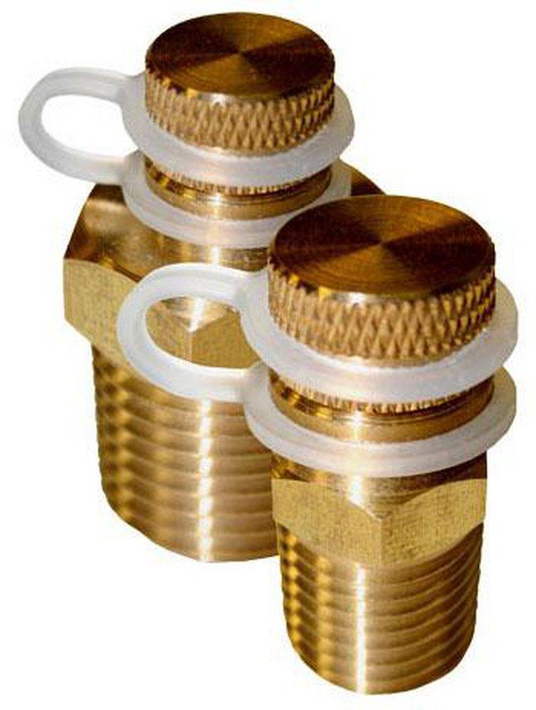 FNW® Brass 14/25 in. HVAC Test Plug 