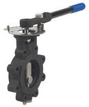 2-1/2 in. Carbon Steel RPTFE Lever Operator Butterfly Valve