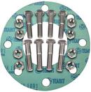 FNW&reg; 1/8 in. Ring Type Joint Rubber and Carbon Steel Kit 