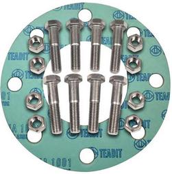 6 in. 150# Red Rubber 1/8 in. Nut, Bolt & Ring Gasket Kit