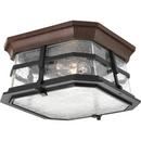 Progress Lighting Espresso 5-1/2 x 10 in. Close-to-Ceiling Light Fixture 