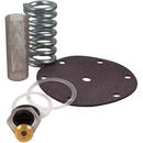 3/4 in. Valve Repair Kit