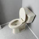 ELONG Plastic SCL SEAT BONE 