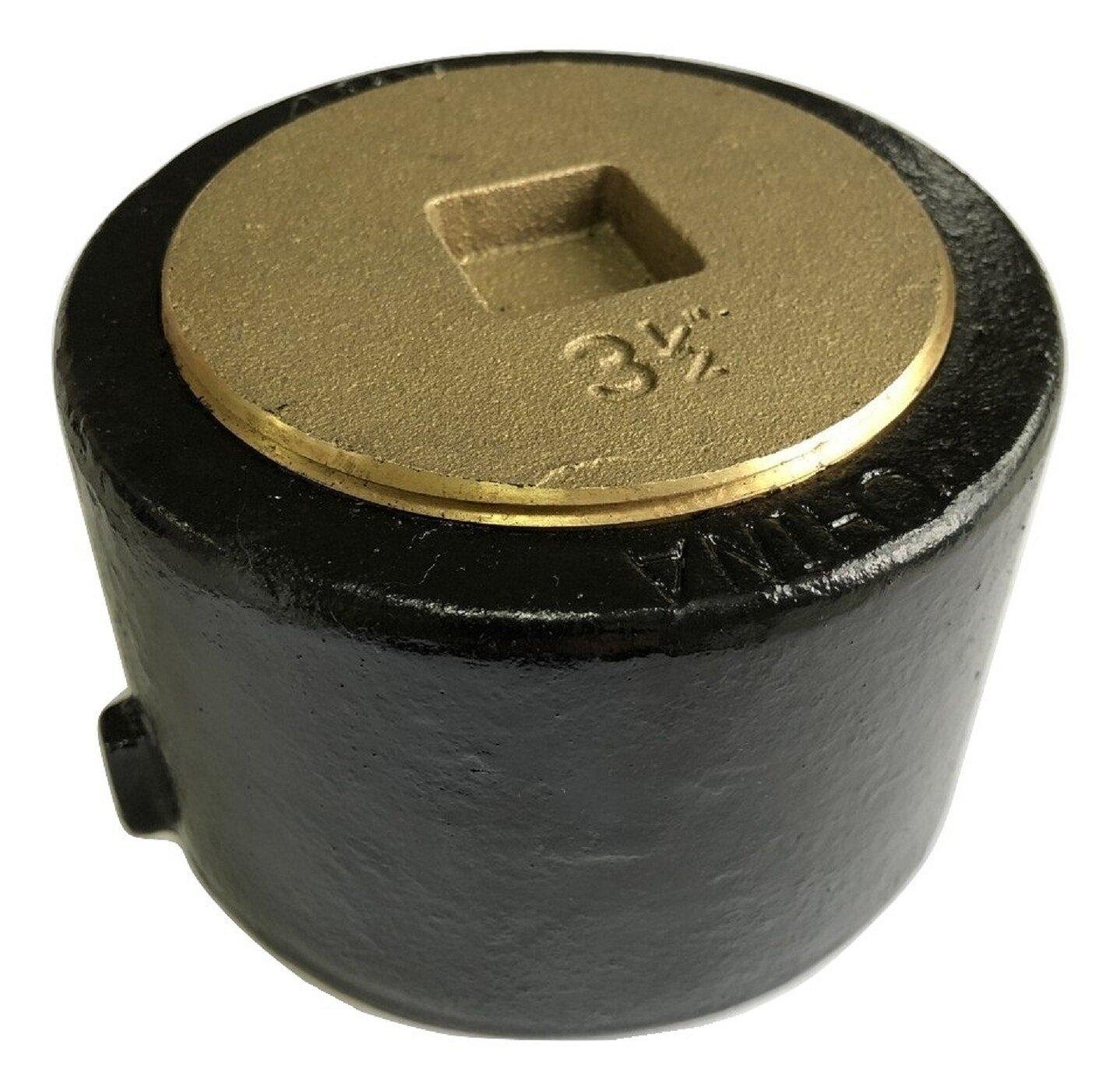 PROFLO&reg; Push On Cast Iron Cleanout 