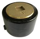 PROFLO&reg; Push On Cast Iron Cleanout 