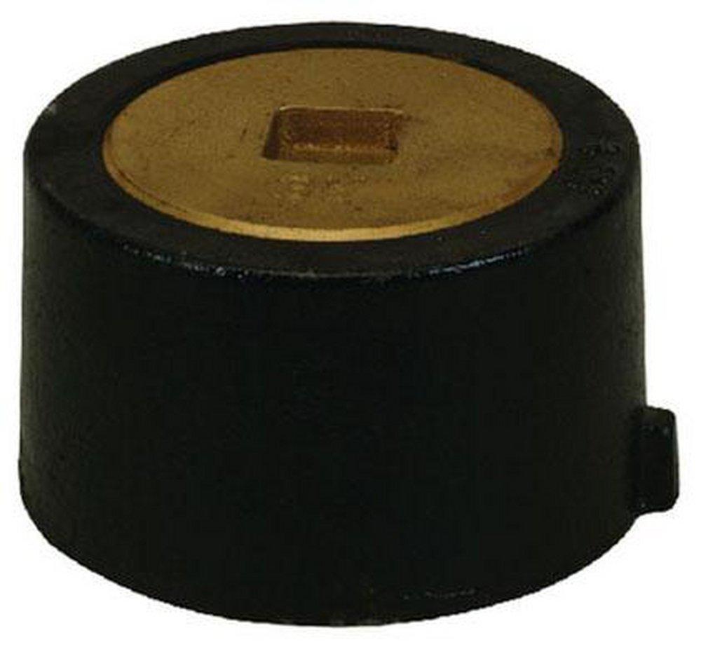 PROFLO&reg; Push On Cast Iron Cleanout 