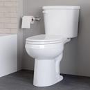 PROFLO&reg; White 17 in. Elongated ADA Toilet Bowl 