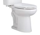 Elongated ADA Toilet Bowl in White