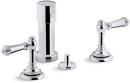 KOHLER Polished Chrome Vertical Bidet Faucet 
