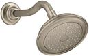 Single Function Showerhead in Vibrant® Brushed Bronze