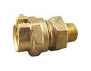 1 in. IPS Compression x MIP Brass Adapter