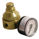 Watts 300 psi Brass Female Threaded Pressure Reducing Valve 