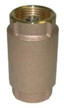 1-1/4 in. Brass and Bronze Threaded Check Valve