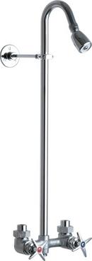 Chicago Faucets Rough Chrome Plated Two Handle Shower Faucet 