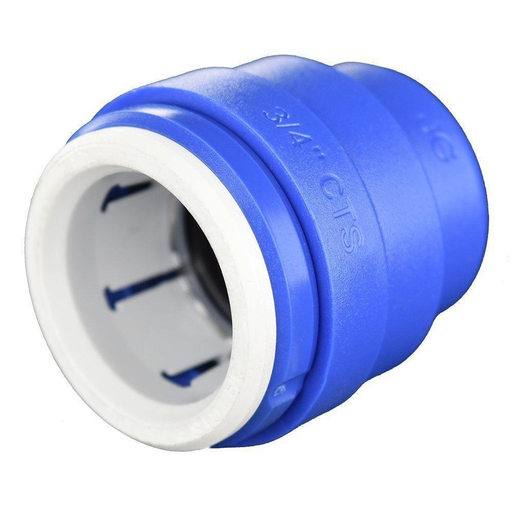 John Guest Blue CTS Polysulphone Bulk End Cap 