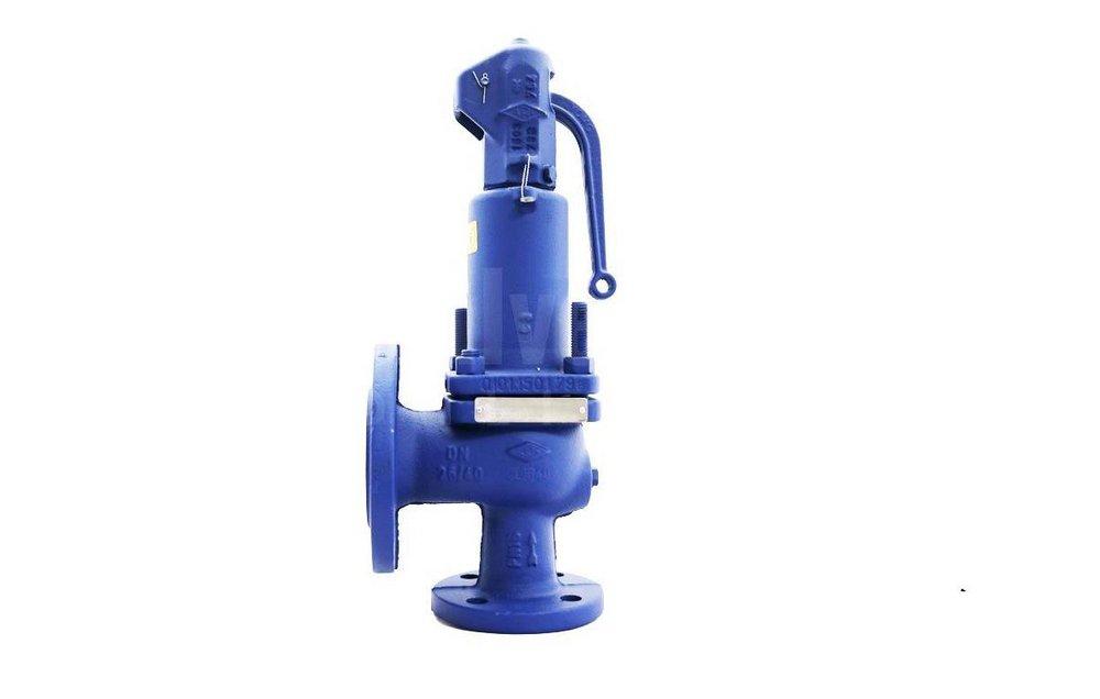 Boshart Industries Brass MPT x FPT 75# 140 Relief Valve 