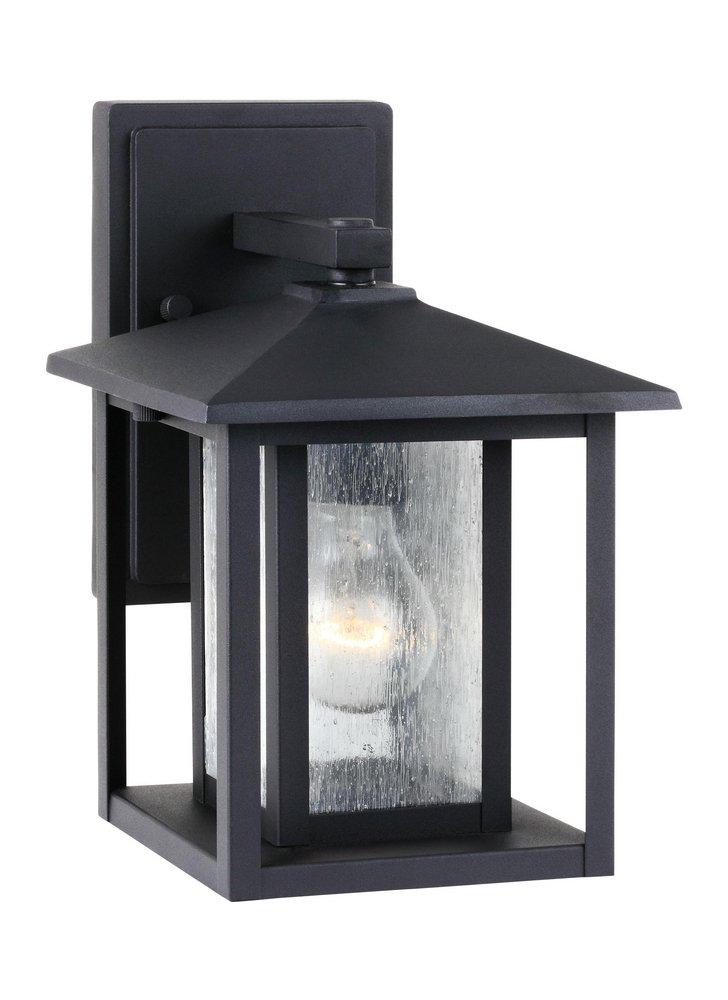 Visual Comfort & Co. Generation Lighting Black 7 in. 60 W 1-Light Medium Lantern 