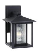 7 in. 60 W 1-Light Medium Lantern in Black