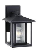 Visual Comfort & Co. Generation Lighting Black 7 in. 60 W 1-Light Medium Lantern 