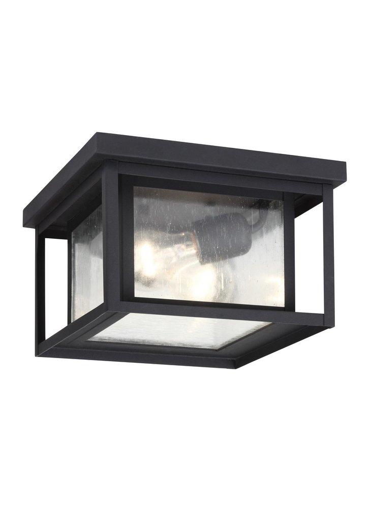 Visual Comfort & Co. Generation Lighting Black 75W 2-Light Medium E-26 Base Outdoor Flushmount 