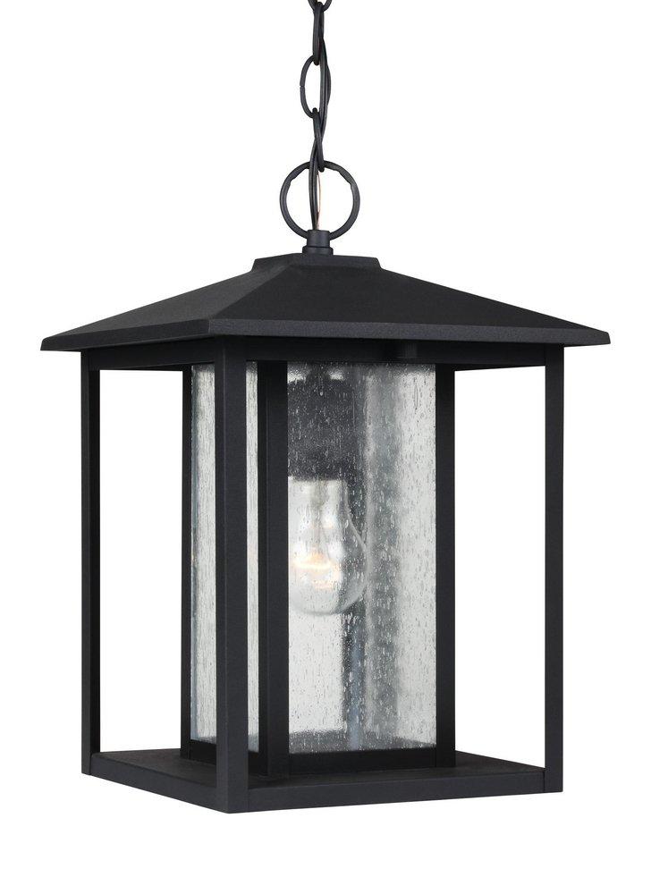 Visual Comfort & Co. Generation Lighting Black 100W 1-Light Medium E-26 Base Outdoor Pendant 