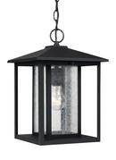 Visual Comfort & Co. Generation Lighting Black 100W 1-Light Medium E-26 Base Outdoor Pendant 