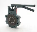 5 in. Carbon Steel RTFE Lever Handle Butterfly Valve
