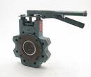WKM Carbon Steel Lug TFM Gear Operator Handle Butterfly Valve 