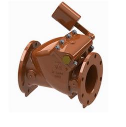 4 in. Ductile Iron Flanged Swing Check Valve
