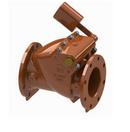 8 in. Ductile Iron Flanged Swing Check Valve
