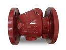 4 in. Ductile Iron Flanged Check Valve