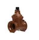 American AVK Co. Ductile Iron Flanged Gate Valve 
