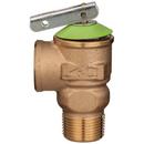 Zurn Wilkins Cast Brass MNPT x FNPT Relief Valve 