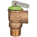 Zurn Wilkins Cast Brass MNPT x FNPT Relief Valve 