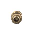 Zurn Wilkins Cast Bronze Union Female Meter x MNPT Dual Check Valve 