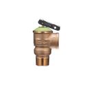 3/4 in. Cast Brass-Bronze-Stainless Steel-Silicone MNPT x FNPT 125# Relief Valve