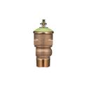 3/4 in. Cast Brass-Bronze-Stainless Steel-Silicone MNPT x FNPT 125# Relief Valve 