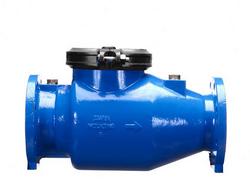 6 in. Epoxy Coated Ductile Iron Flanged 350 psi Backflow Preventer