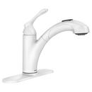 Single Handle Pull Out Kitchen Faucet in Glacier
