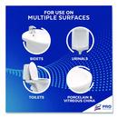 Lysol&reg; PRO Toilet Bowl Cleaner 