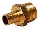 Legend Valve & Fitting Brass PEX Crimp x MPT Adapter 