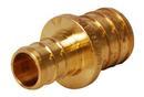 1 x 3/4 in. Brass PEX Crimp Coupling