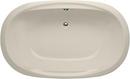 65-1/2 x 43-3/4 in. Drop-In Bathtub with Side Drain in Biscuit