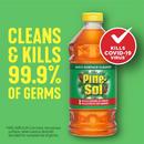 Pine-Sol Disinfectant Cleaner (Case of 12) 