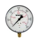 Watts Black 1/4 in. NPT Bottom Entry Pressure Gauge 