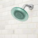 Speakman Jade/Polished Chrome 2 gpm Low-Flow High Performance Showerhead 