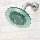 Speakman Jade/Polished Chrome 2.5 gpm 1-Function Wall Mount Showerhead 