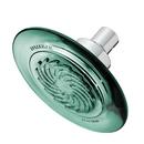 1.5 gpm 1-Function Wall Mount Showerhead in Jade
