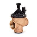 Rain Bird Brass Irrigation Valve 